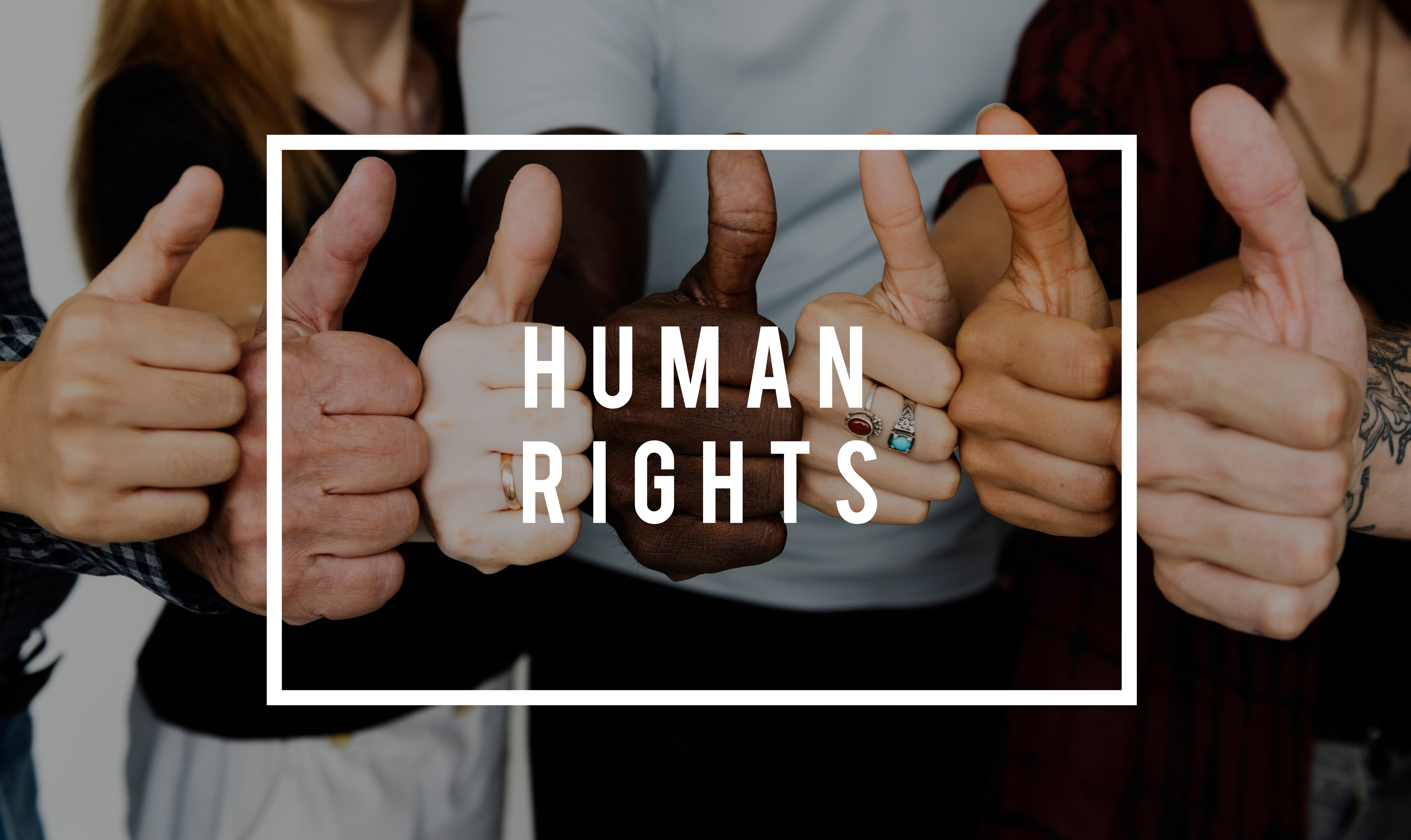 Minorities Human Rights Global Ties Detroit